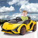 Lamborghini Sian Licensed 12V Electric Powered Kids Ride on Car Toy | outtoy.
